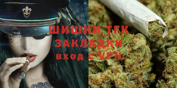 гидропоника Алзамай