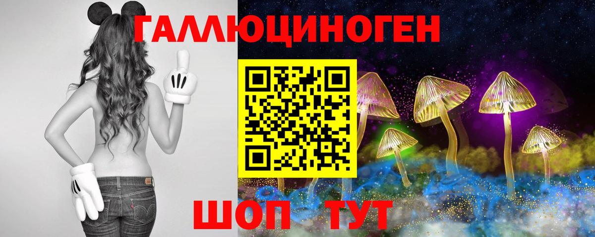 Псилоцибиновые грибы GOLDEN TEACHER  Псилоцибиновые грибы Psilocybine cubensis  Вход с VPN  Пермь 