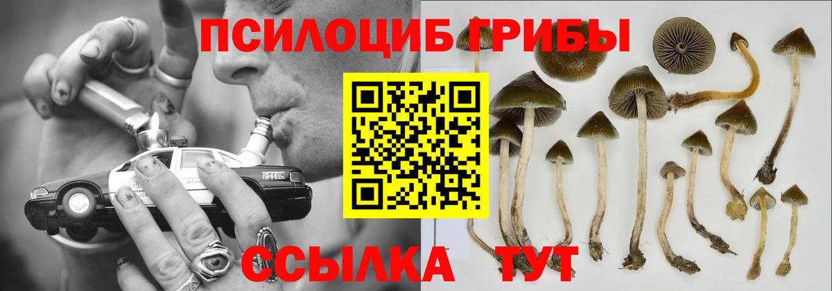Псилоцибиновые грибы GOLDEN TEACHER Пермь